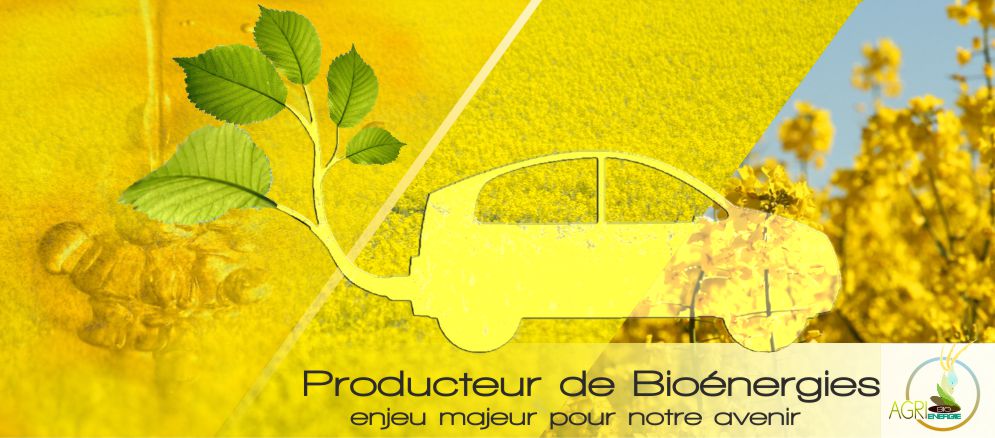 Agri Bio énergie , producteur de bio énergies à etreville